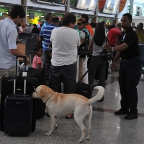 Mujer que fue mordida por perro en aeropuerto recibe atenciones de salud