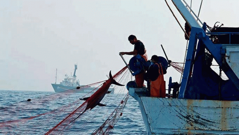 Detienen a 124 pescadores dominicanos tras protagonizar tiroteo en el Caribe