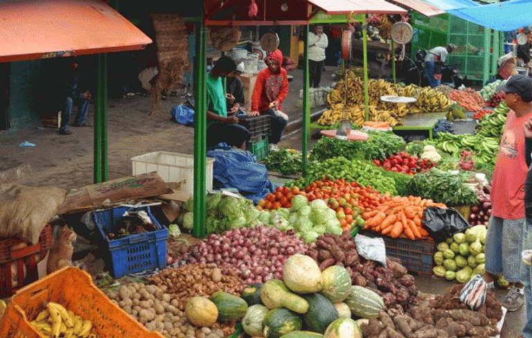 Pro Consumidor ejecuta plan buenas prácticas en comercios minoristas