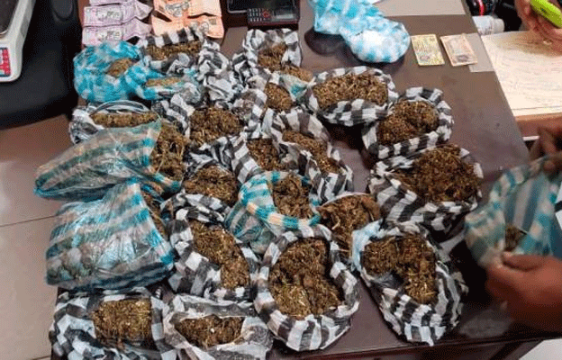 Marihuana yuca name FE