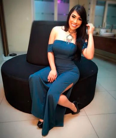 ¿Quién es Dianabel Gómez? arrestados en la Operación Falcón
