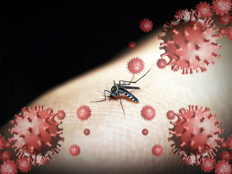 dengue