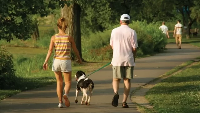 Caminar 6 km una o dos veces por semana reduce el riesgo de mortalidad, según estudio en EEUU 1 caminata 1 e1680049625443