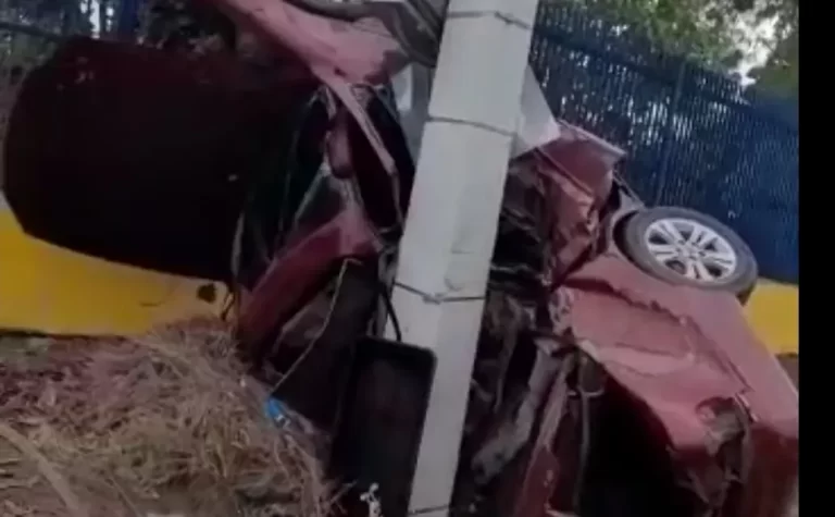Video – ¡Quedó vivo! 6 Video – ¡Quedó vivo!