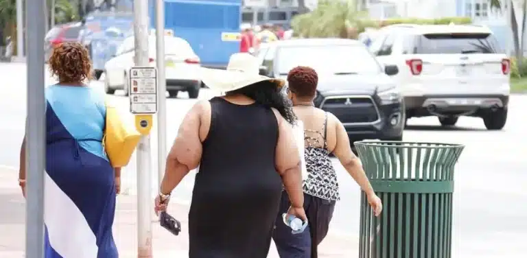 Aumento obesidad en países en desarrollo depende del alto costo de alimentos sanos 12 Aumento obesidad en países en desarrollo depende del alto costo de alimentos sanos