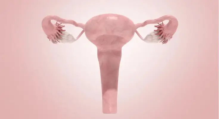 Una mujer recibió el útero de su hermana en el primer trasplante de este tipo realizado en el Reino Unido