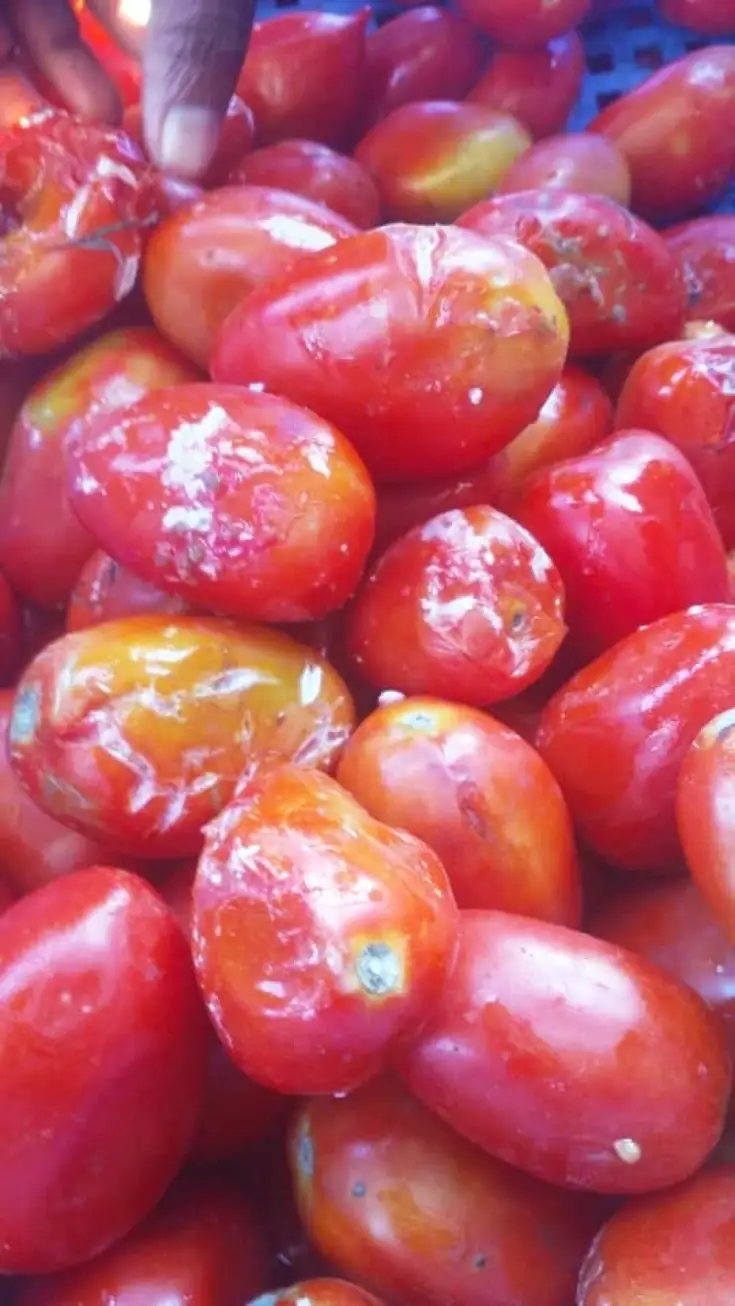 Comerciantes en frontera denuncian no han sido tomados en cuenta por comisión designada por Abinader