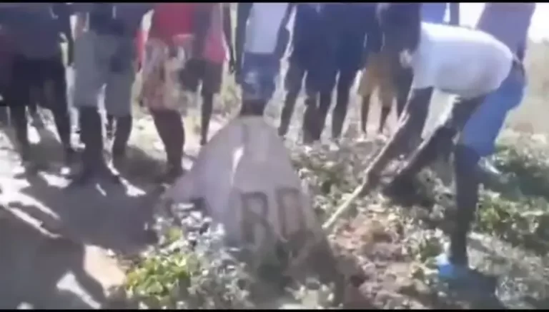 Haitianos trataron de remover pirámide que delimita la frontera 1 Haitianos trataron de remover pirámide que delimita la frontera