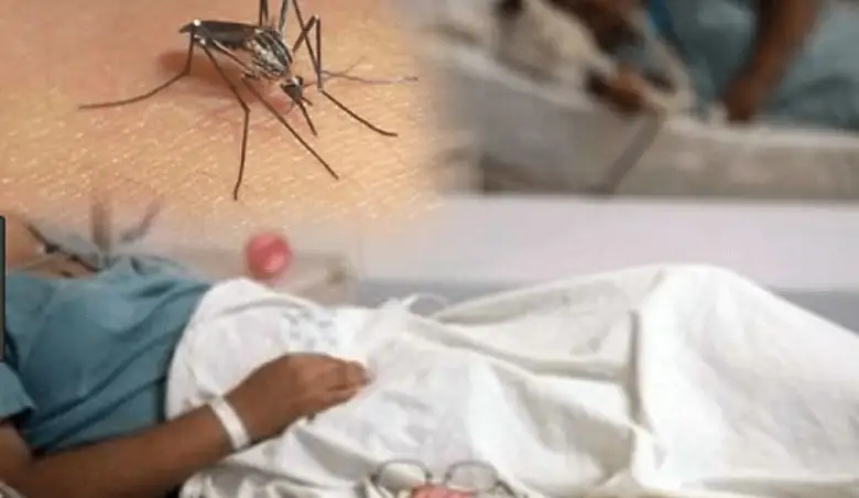 Ascienden a 16 las muertes por dengue en la Rep. Dominicana 1 Mosquito Dengue cama