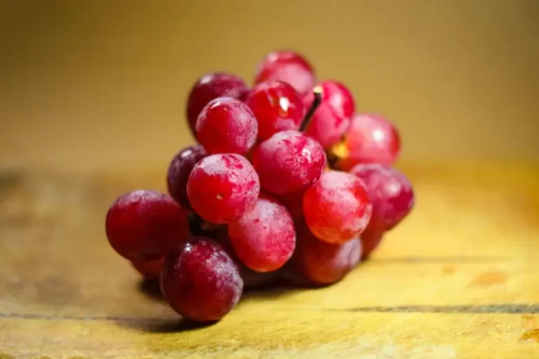 Uvas rojas tienen mayor concentración de resveratrol, molécula que podría prevenir las células cancerígenas 1 Uvas rojas tienen mayor concentración de resveratrol, molécula que podría prevenir las células cancerígenas