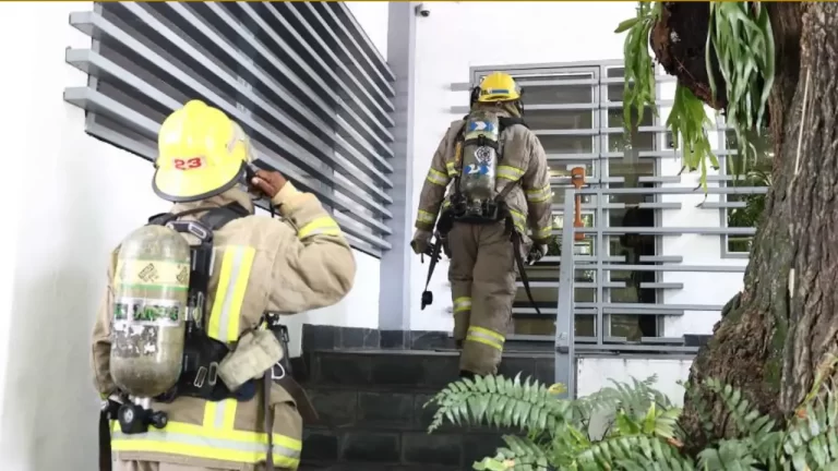 ¿En qué consiste el insecticida usado en torre de Piantini que causó muerte de mujer y su bebé? 1 ¿En qué consiste el insecticida usado en torre de Piantini que causó muerte de mujer y su bebé?