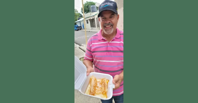 La miel de abeja de Santiago Rodríguez: un dulce tesoro de la naturaleza