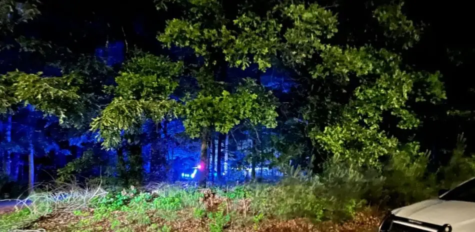 Identifican a tres niños dominicanos muertos en un parque de Georgia 1 Condado de Gwinnett FE