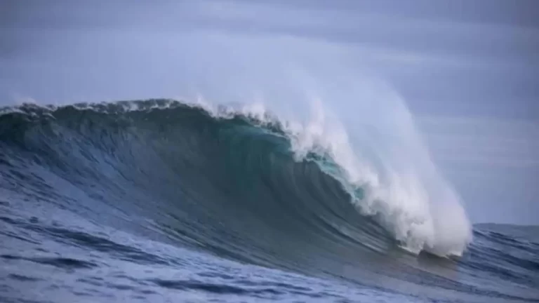 Los océanos baten récord de temperaturas todos los días desde hace un año