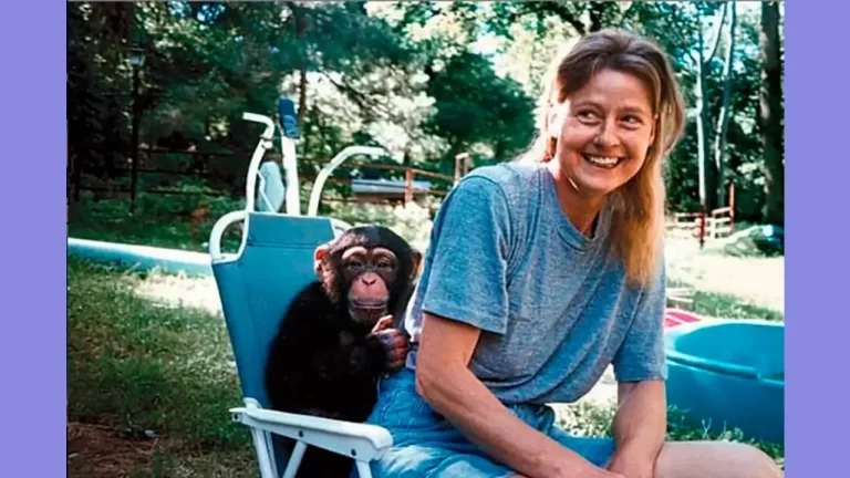 Video - El dramático caso de Charla Nash, la mujer a la que un chimpancé le destruyó los párpados, la nariz y la mandíbula 3 Video – El dramático caso de Charla Nash, la mujer a la que un chimpancé le destruyó los párpados, la nariz y la mandíbula