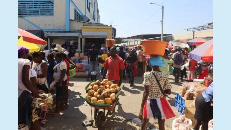 Población en algunas comunidades fronterizas es 85% haitiana 5 Población en algunas comunidades fronterizas es 85% haitiana