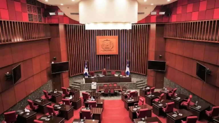 Amnistía Internacional censura proyecto del Código Penal que excluye despenalización del aborto 2 Amnistía Internacional censura proyecto del Código Penal que excluye despenalización del aborto