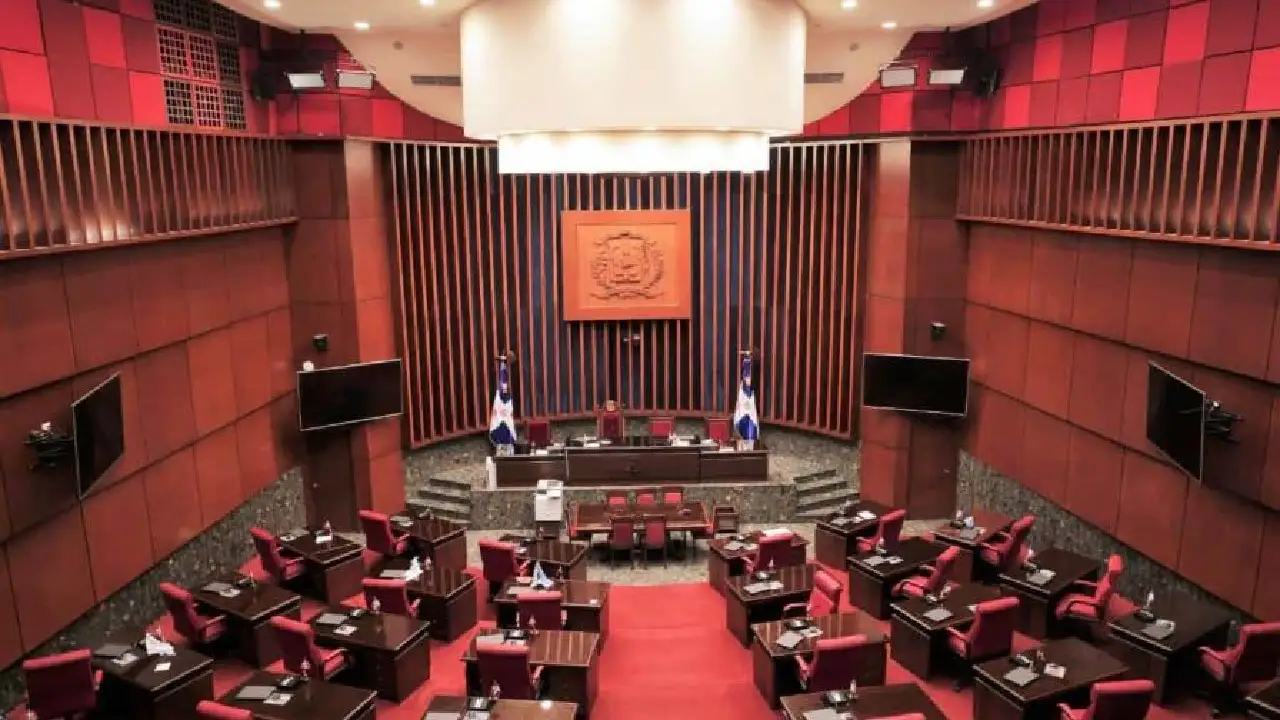 Amnistía Internacional censura proyecto del Código Penal que excluye despenalización del aborto 1 Amnistia Internacional Senado FE