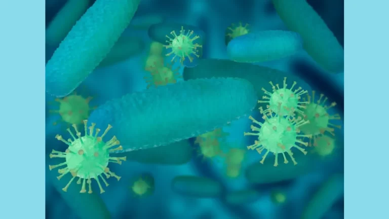 ¿Qué es el ántrax, la bacteria que tiene bajo alerta a República Dominicana?