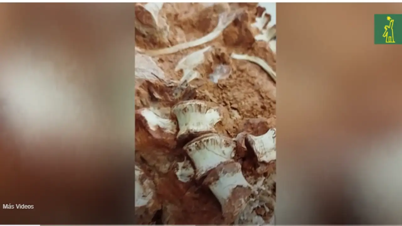 Yacimiento paleontologico del Triasico FE