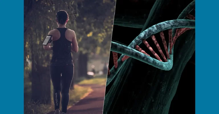Video – Acabamos de encontrar 14 «genes de la delgadez». Unidos ayudan a explicar el 60 % del peso que perdemos con el ejercicio