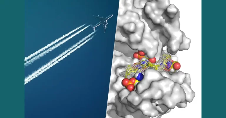 Estamos un paso más cerca de acabar con el ‘jet lag’. La clave está en una simple proteína