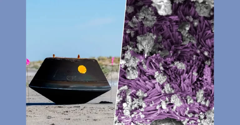 Todas las bases del ADN y 14 de 20 aminoácidos: la NASA ha encontrado moléculas vinculadas a la vida en las muestras de Bennu