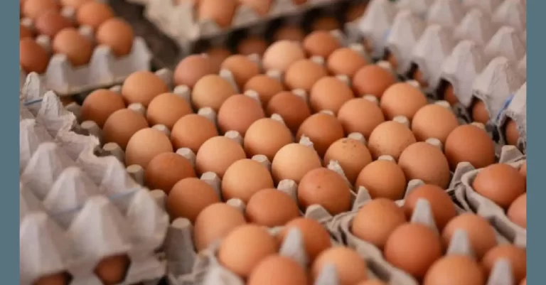 La Policía de Pensilvania investiga el robo de 100,000 huevos de un tráiler