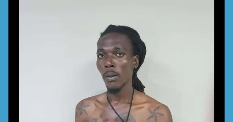 Policía Nacional detiene a dos miembros de 400 Mawozo