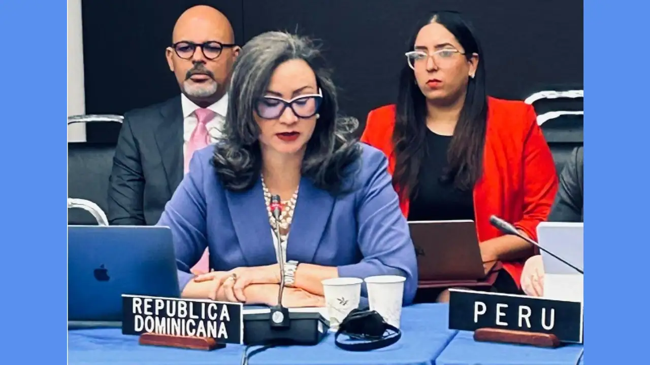 La RD pide ante la OEA mayores esfuerzos frente a crisis de Haití 1 Mayerlyn Cordero Diaz embajadora OEA FE