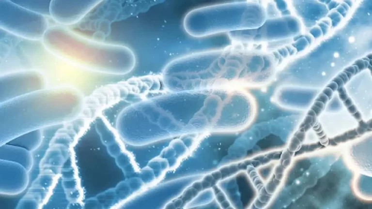 Estudio suizo detecta cáncer colorrectal mediante bacterias presentes en el intestino