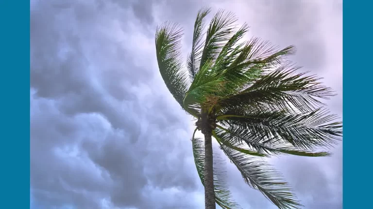 COE reporta 46 acueductos afectados y más de 390 mil personas sin agua por la tormenta Melissa. (foto: https://www.pexels.com)