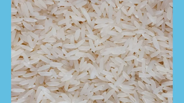 Arroz estadounidense: RD elimina el régimen arancelario especial 8 arroz estadounidense