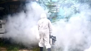 Dengue en RD: Salud Pública refuerza la prevención 2 dengue en RD