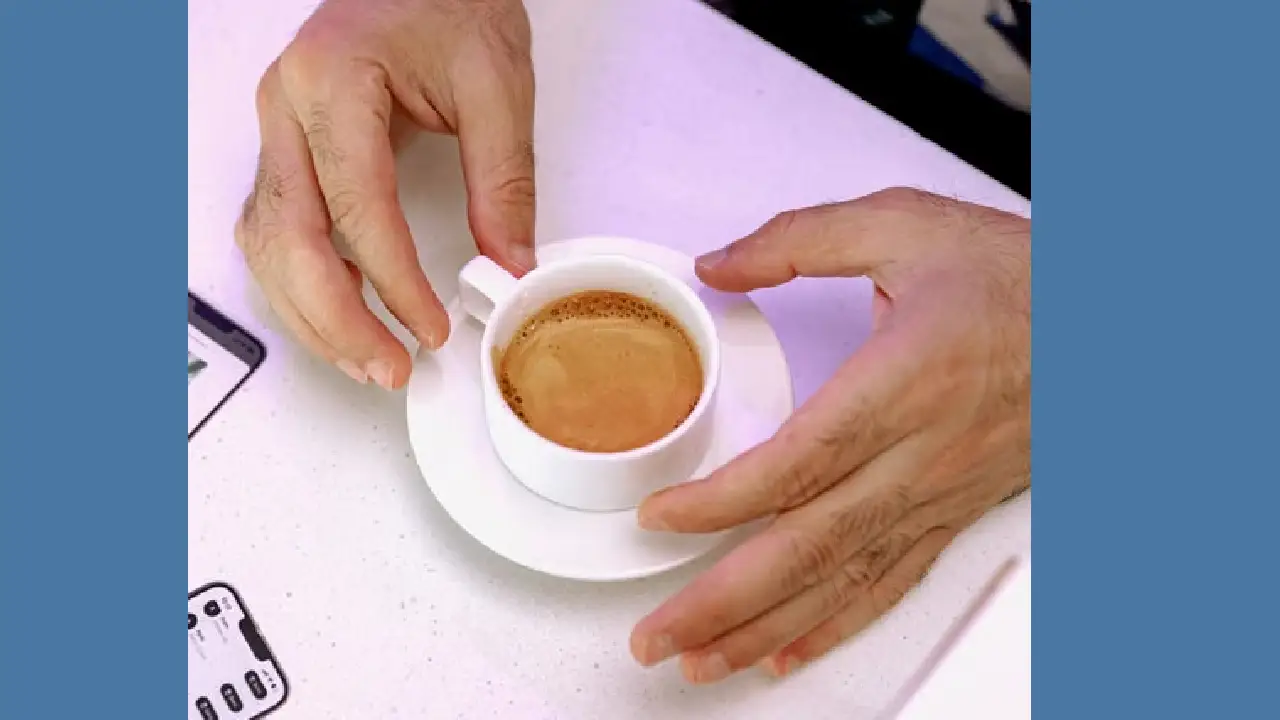 Café y microbiota intestinal