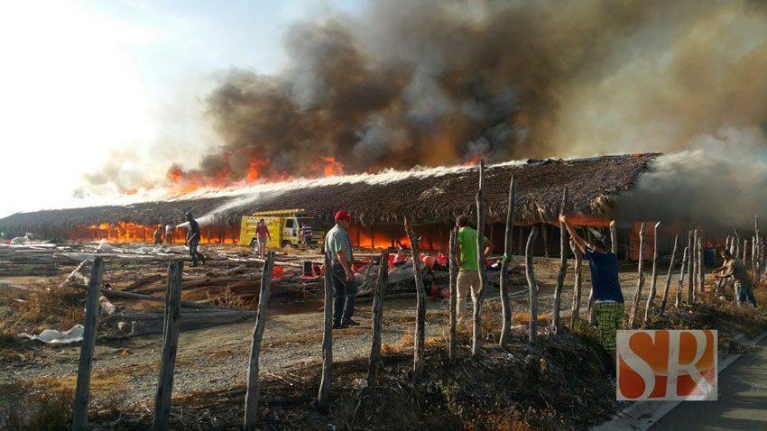 Fuego Granja pollo Caobas 2016 1