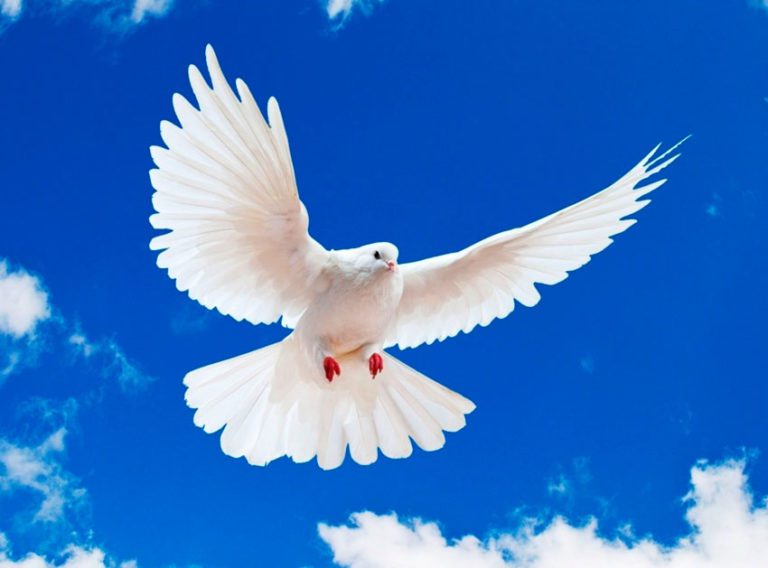 Familia Peña García envía condolencia en España