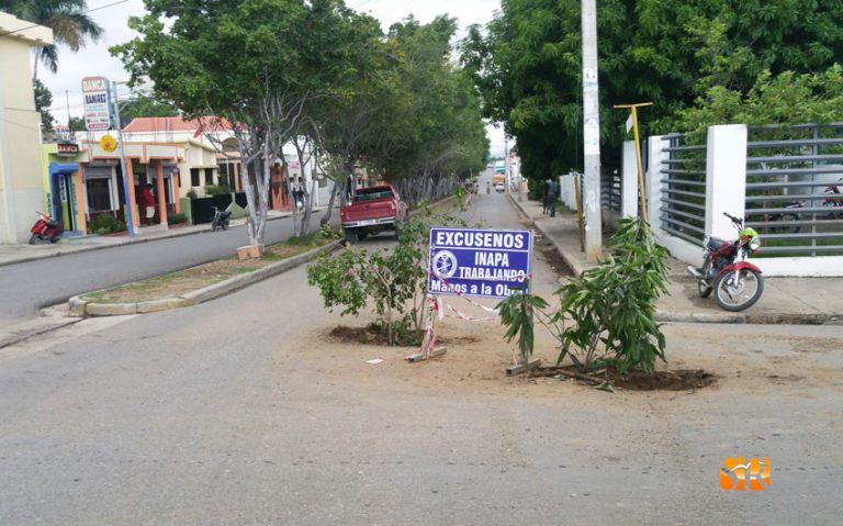 Chóferes plantan árboles en calle Sánchez