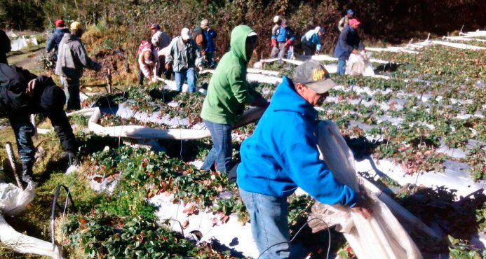 Medio Ambiente cumple promesa en Valle Nuevo 6 (Foto: FE)