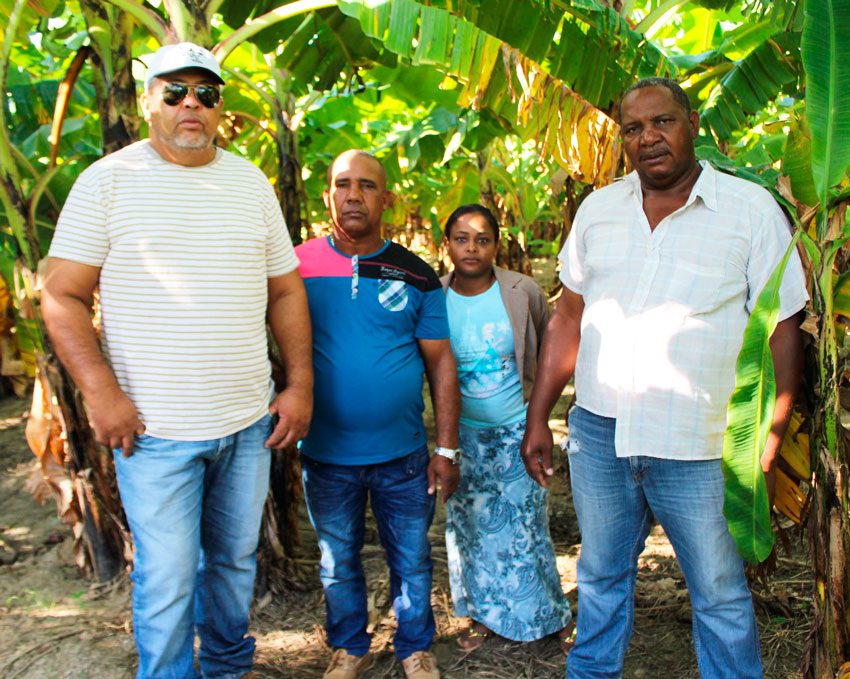 Agricultores Cruz Manzanillo FE