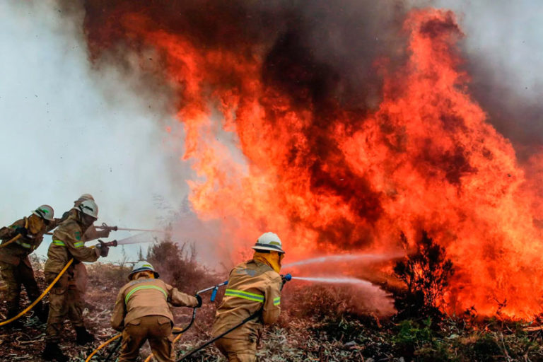 Inmenso incendio forestal deja 62 muertos en Portugal 1 Inmenso incendio forestal deja 62 muertos en Portugal
