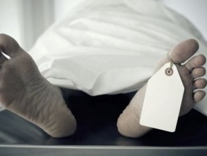 cadaver