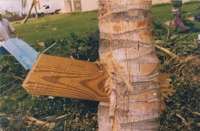 Video: Un día como hoy RD conoció la furia de “David”