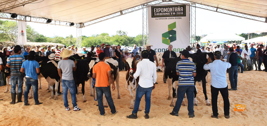 IV Feria Expomontaña Sabaneta 2018 supera expectativas 1