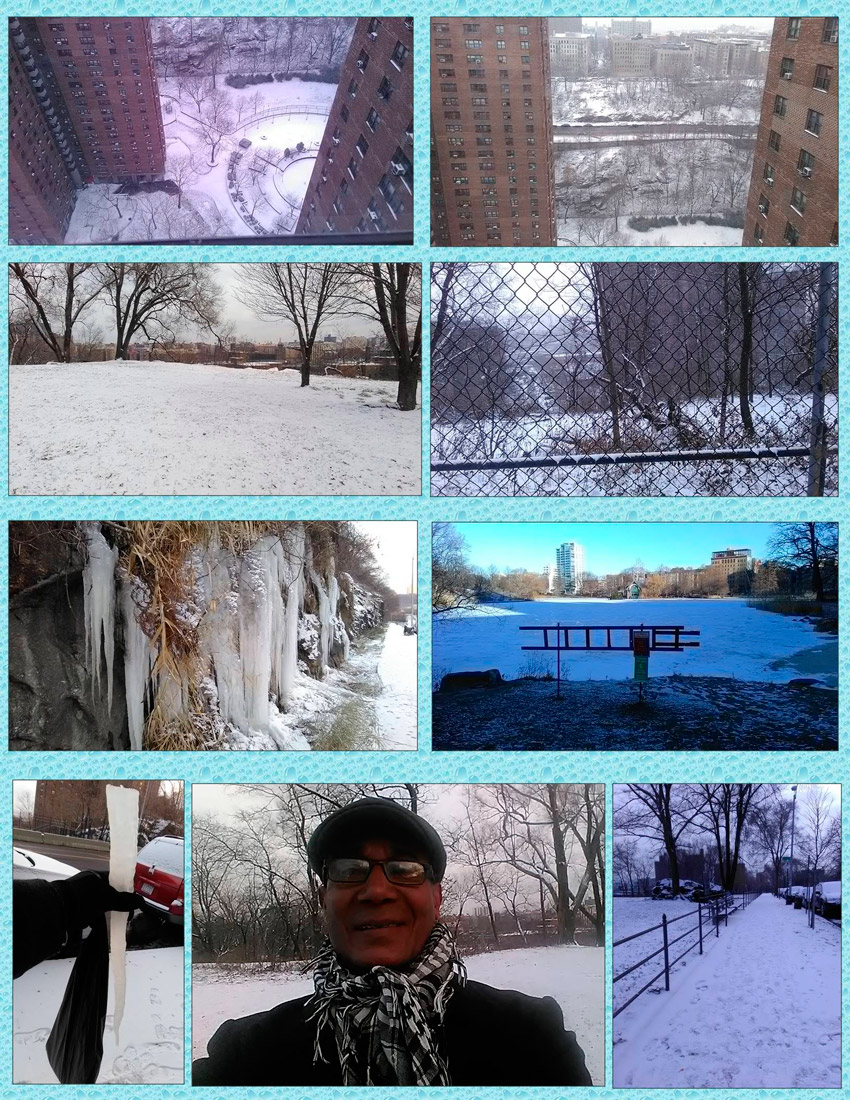 De tormentas, nevadas y encontrados sentimientos 1 Nevada en NYC