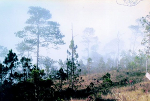 Las temperaturas bajarán a cero en El Pico Duarte este fin de semana