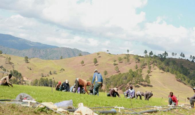 Llegan más haitianos a zona de Valle Nuevo