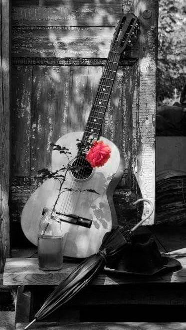 Acerbidad serenata guitarra FE