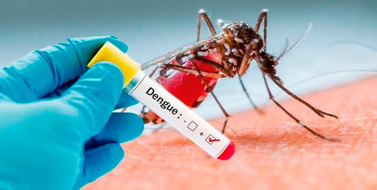 Salud Pública coloca en alerta a 27 provincias ante el brote de dengue