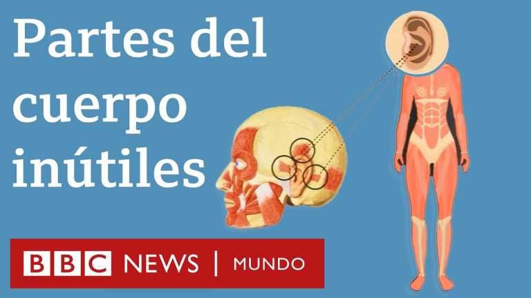 6 partes del cuerpo que ya no necesitamos para nada (+vídeo)